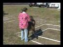 Pasco Libraries & PetSmart Charities Present - Video 5