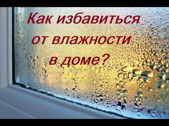 Как избавиться от влажности в доме? Осушитель воздуха!