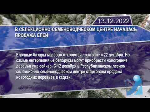 Новостная лента Телеканала Интекс 13.12.22.