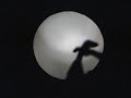 a magical hand shadows show