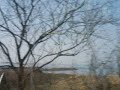 Swedish Seaside