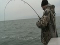 Lake Trout fishing --Jigging light tackle April 09