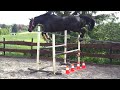 Click here to watch this video 20120512_152629.mp4