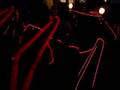 a Mondo Spider - Walks Through the Night