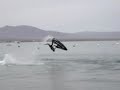 Insane Jetski Freestyle Backflips Eric Malone 2005