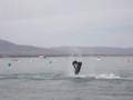 Insane Jetski Freestyle Backflips Eric Malone 2005