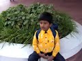 BHUSAULA - BHUPESH - GUPTA - DELHI LOTUS