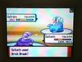 Monotype Tournament Round-1. Poison vs Ice