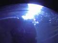 Eastern-Sea-Sealife-