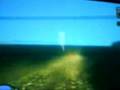 videos de gta san-crazy frog popcorn