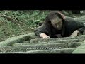Izo - Izo - Flixster Video