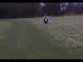 Tilley on bike.mp4
