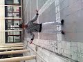 ekor