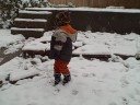 Corter in the Snow