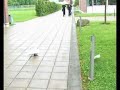 HP DeskJet 3320 Stop Motion Music - First Test