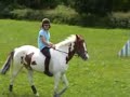 Red Rosette BAREBACK vid Red Rosette BAREBACK vid