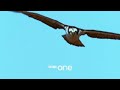 BBC One - New Promo into Ident