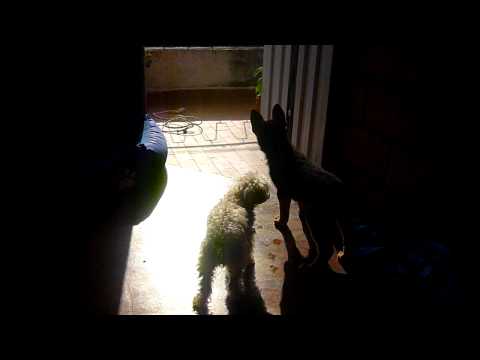 P1050595 - 