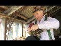 Propagating Primulas by Spring Division