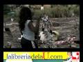 videos de ¿A dónde ir?
