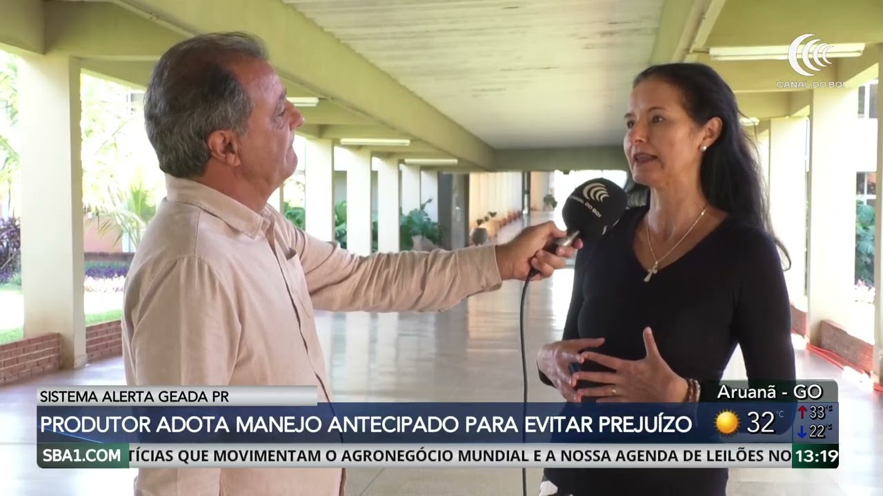 Alerta Geada ajuda produtores do Paraná a enfrentar frio intenso