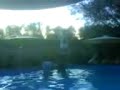 Pool junping at Swan Lake Pool junping at Swan Lake