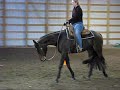 Hot N Candy - AQHA All-Around Hot N Candy - AQHA All-Around