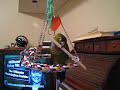 Charlie on his new swing with a straw