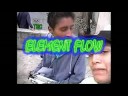 ELEMENT FLOW /BALCIANDO