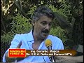 el panorama forestal 30 03 08 2/3