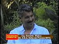 el panorama forestal 30 03 08 2/3