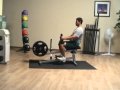 Video of Seated Calf GSCR349 