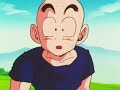 Stupid Krillin