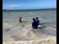 Bolita y el Mar