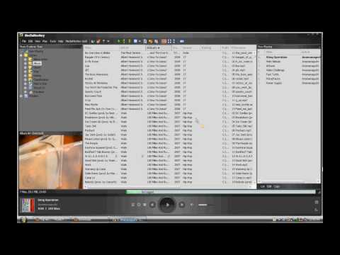 Media Monkey -Scripts and Skins