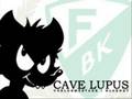 fbk the best