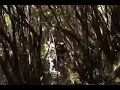 Trekking Volcan Calbuco Trekking Volcan Calbuco