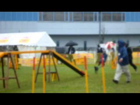 201105282