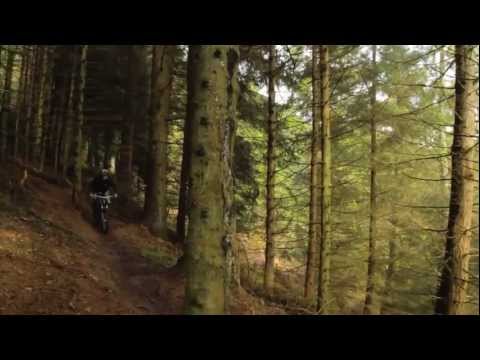 chain reaction cycles