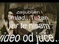 SNEG