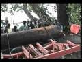 Glen Chapman interviews people who work at or use wood produced at Kikongo's saw mill, and finds out how it has helped the area. The sawmill has raised the standard of living by providing lumber and products for the people in the area. Towards the end of the video, you'll see boards being passed forward in church as their tithe!