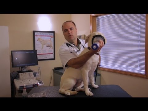 how to administer inhaler