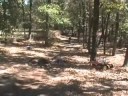 Haward Dunn III Classics 2: MOTOCROSS part ONE of 2
