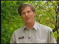 Proper Tree Pruning Methods Part 1