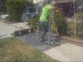 skateboarding