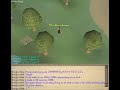 money making guide for runescape 2 money making guide for runescape 2