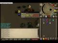 videos de Runescape Kalphite queen (kq)