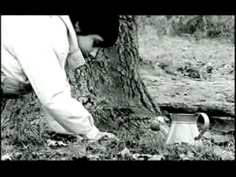 Video'yu Görüntüle