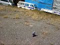 ラジコン バイク オフロード モトクロス No.1  RC Bike offroad Motocross No.1