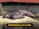 Gaia Park Patrol